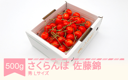 山形県産さくらんぼ 佐藤錦 500g 令和8年産 mm-snbax500