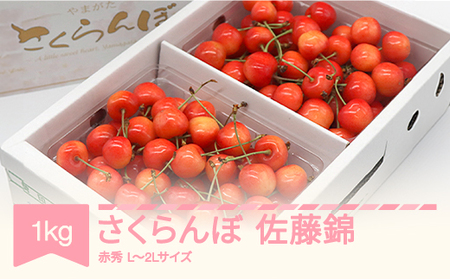 さくらんぼ 佐藤錦 500g×2 2026年産 mm-snpcx1000