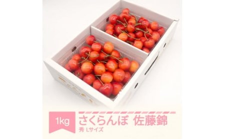 先行予約 さくらんぼ 佐藤錦 500g×2 2026年産 mm-snpsx1000