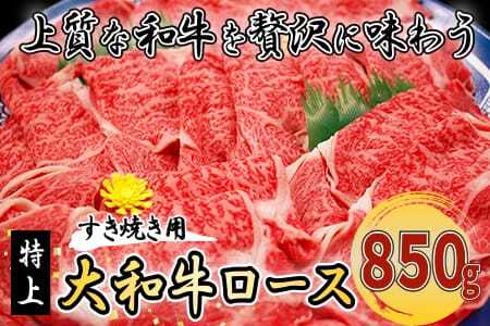 ブランド牛肉 大和牛 ロース850g G-65