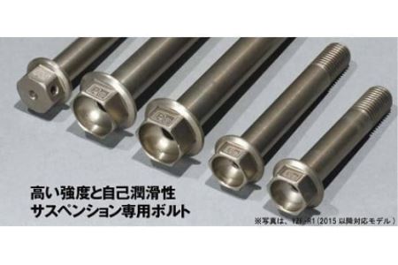 【D-26】Zero Point Link（商品色：シャンパンゴールド）【4本用】ゼロポイントシャフト