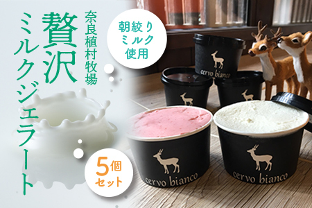 贅沢ミルクジェラート5個セット アイス J-47