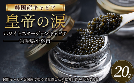 【純国産キャビア】ホワイトスタージョンキャビア 20g 皇帝の涙 国産 チョウザメ 魚卵 宮崎県