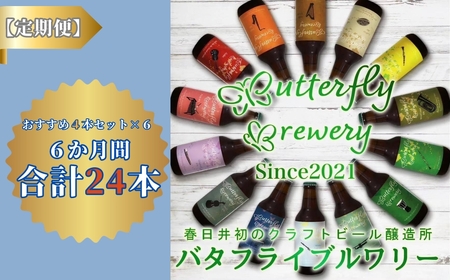 楽器シリーズのクラフトビールが毎月１回4本半年間届きます。（計６回） クラフトビール 定期便