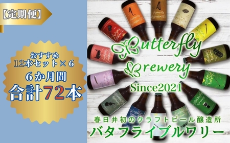 楽器シリーズのクラフトビールが毎月１回12本半年間届きます。（計６回） クラフトビール  クラフトビール 定期便