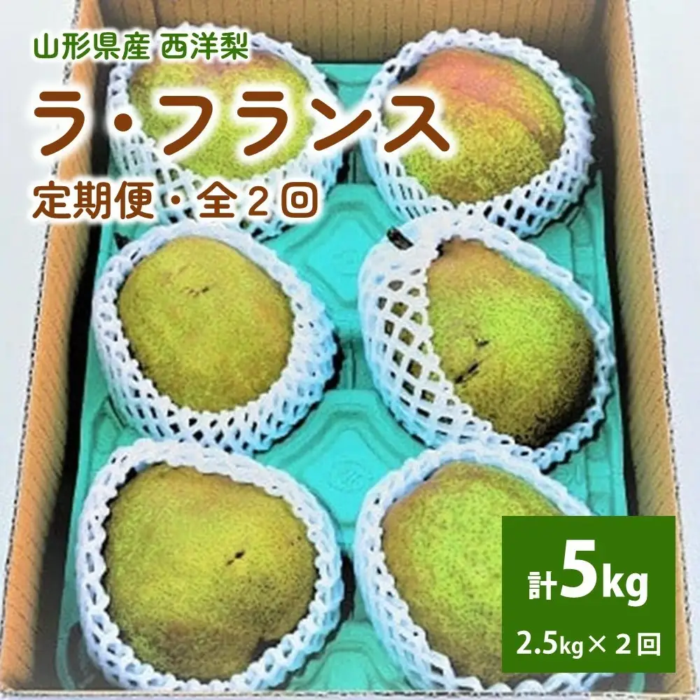 【定期便：全２回】ラ・フランス　２.５ｋｇを２回お届け　0012-2606
