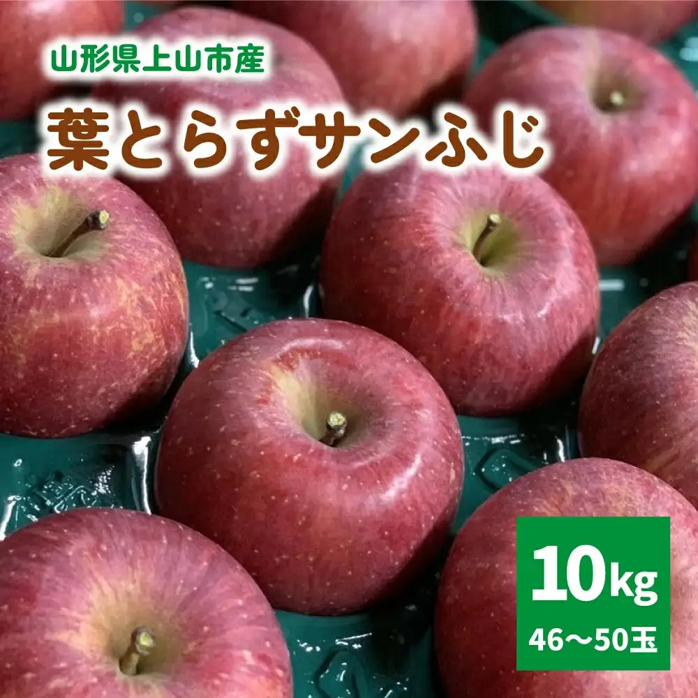有機肥料栽培　葉とらずサンふじ　上山市産　１０ｋｇ　４６～５０玉　0079-2627