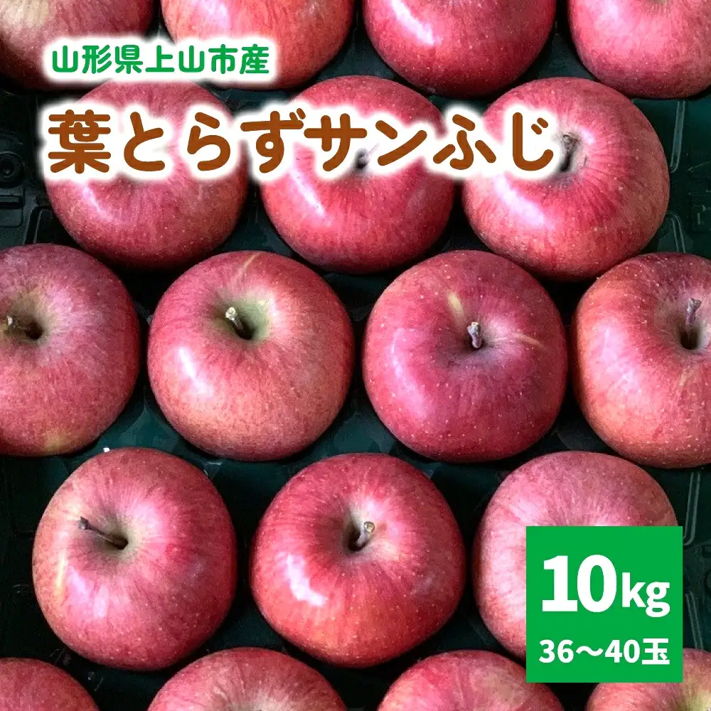 有機肥料栽培　葉とらずサンふじ　上山市産　１０ｋｇ　３６～４０玉　0079-2628