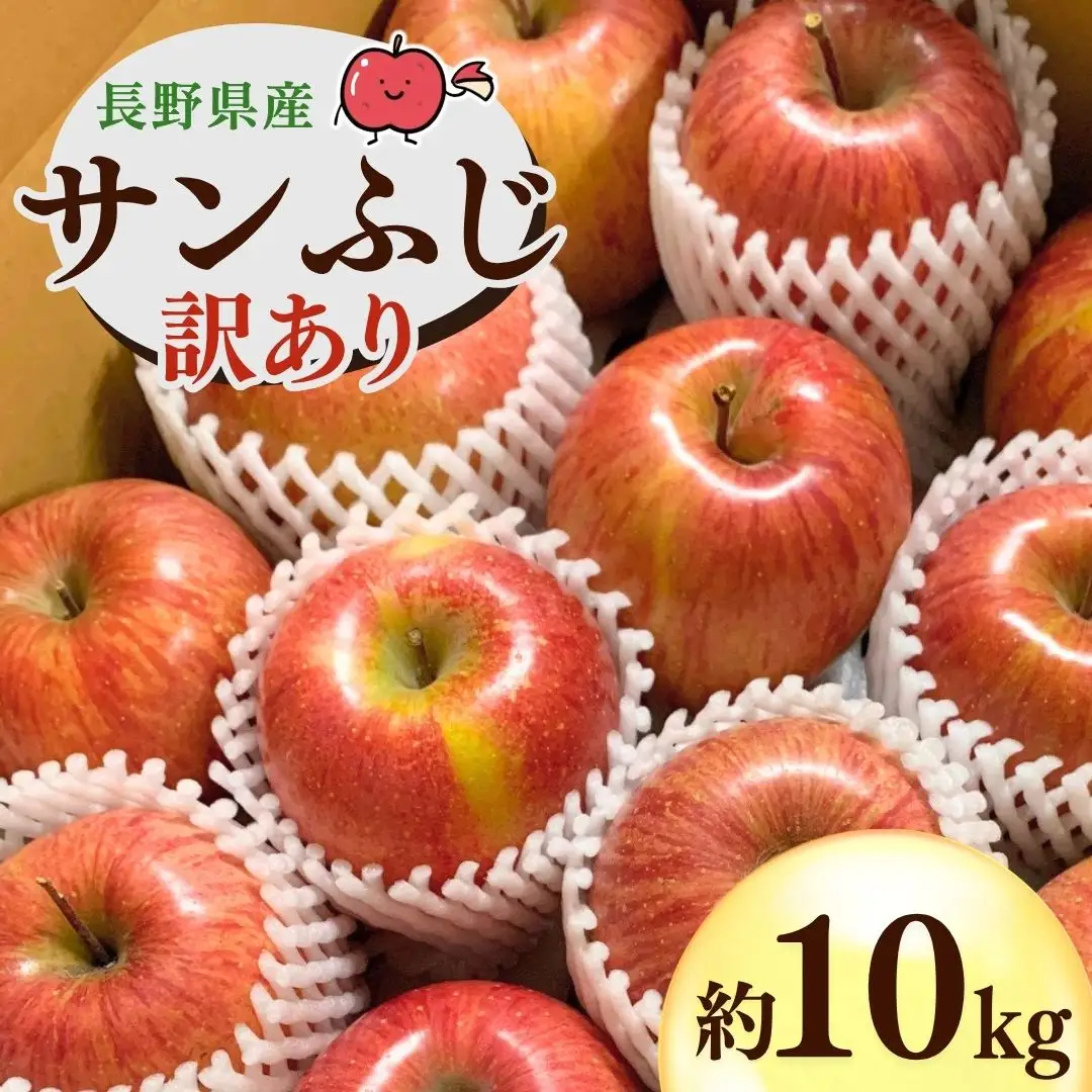 【2026年先行予約】千曲市産 りんご 訳あり サンふじ 約10kg| りんご 信州産 長野県 千曲市