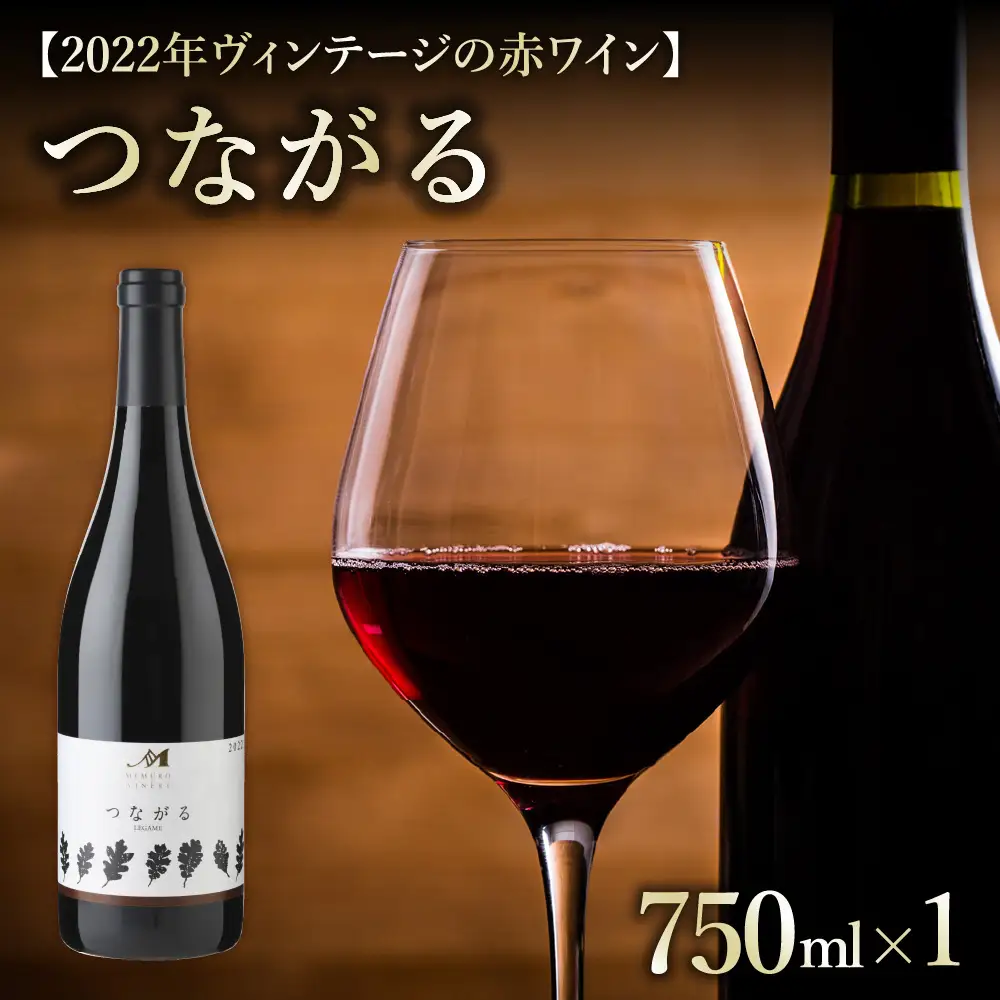  北海道十勝芽室町 つながる vin2022 750ml×1本 北海道 十勝 芽室町 赤ワイン わいん 果実酒 酒 セット 贈り物 ギフト お祝い 記念日 お歳暮 国産 瓶 お取り寄せ 北海道 十勝 芽室町北海道 十勝 芽室町　me032-041c