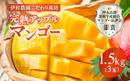 【 2026年 先行予約 】 伊村農園 こだわり 栽培 ！ 完熟 アップルマンゴー 1.5kg （ 3 玉 ） W026-003u 果物 マンゴー