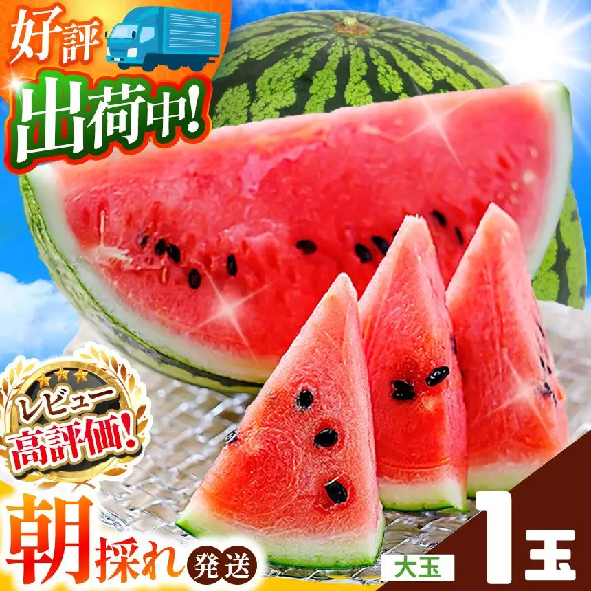 大玉スイカ（1玉）【2026年5月頃から7月中旬まで順次発送予定】 熊本県産 西瓜 すいか