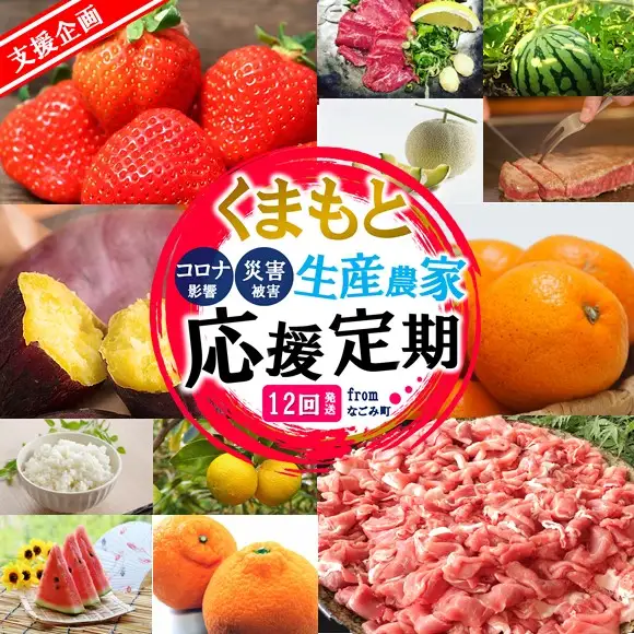 【 定期便 12回 】支援 企画 ！ くまもと 生産 農家 応援 定期便 ！ 肉 野菜 フルーツ