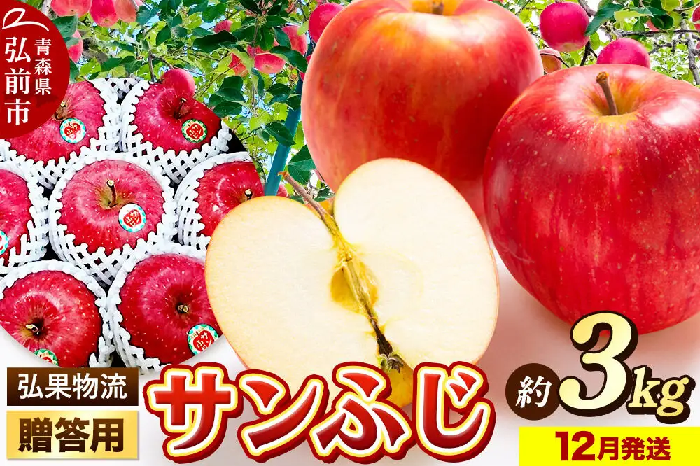 【26年12月発送】りんご 贈答用 サンふじ 約3kg