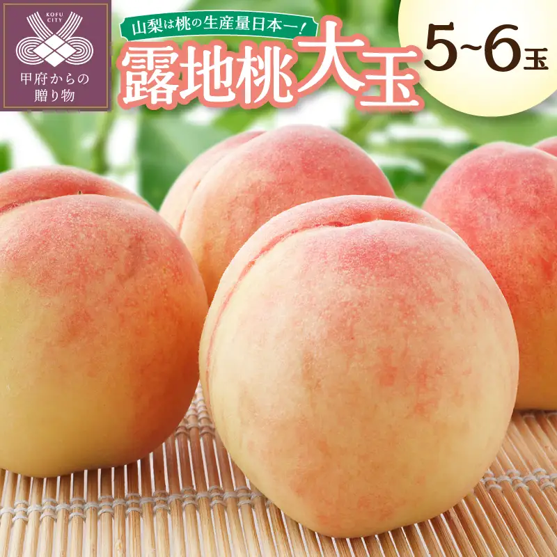 〈2026年度配送分〉露地桃大玉 5-6玉〈約1.8kg〉（2026年7月上旬～下旬にかけて順次配送予定）