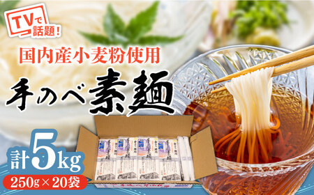 【手のべ陣川】 島原 手延べ そうめん 5kg / SC-55 / 袋入 そうめん 島原そうめん 手延べ 麺 素麺 / 南島原市 / ながいけ [SCH018]