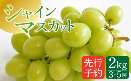 【2026年8月中旬-発送】【南島原産】シャインマスカット 2kg（3-5房）/ ぶどう 葡萄 ブドウ しゃいんますかっと 果物 くだもの フルーツ / 南島原市 / ながいけ [SCH036]