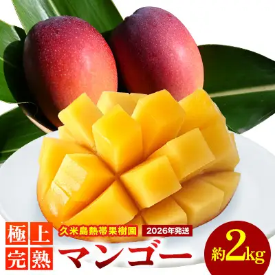 マンゴー 【2026年発送】久米島熱帯果樹園 極上完熟マンゴー 約2kg（3～5玉） フルーツ 果物