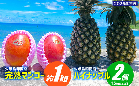 フルーツ【2026年発送】久米島印商店 完熟マンゴー約1kg&パイナップル（Ｎ67-10）2個（1.5kg以上×2） マンゴー パイナップル 