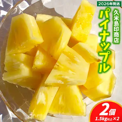 パイナップル【2026年発送】久米島印商店 パイナップル（ハワイ種Ｎ67-10）2個（1.5kg以上×2） パイン フルーツ 