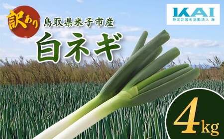 鳥取県産　【訳あり】白ネギ4kg