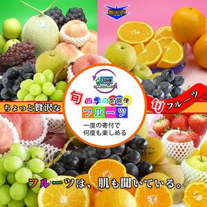 【定期便3回Sサイズ】 フルーツ セット 定期便 ( 約3 ～ 5品 × 3ヶ月 ) ｜産直あきんど 香川産 四季のフルーツ 創業100年