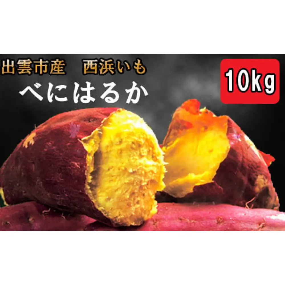 西浜いも（べにはるか）10kg（5kg×2）