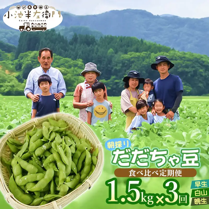【定期便】【令和8年産先行予約】朝採りだだちゃ豆 食べ比べ 1.5kg (500g×3袋)×3回 お届け 早生・白山・晩生 枝豆　小池半左衛門