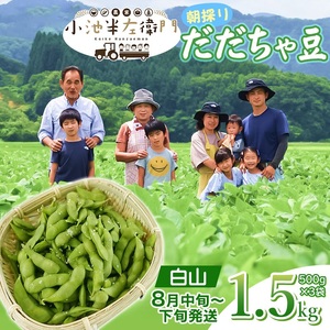 【令和8年産先行予約】朝採りだだちゃ豆 【白山】1.5kg (500g×3袋) 枝豆　小池半左衛門
