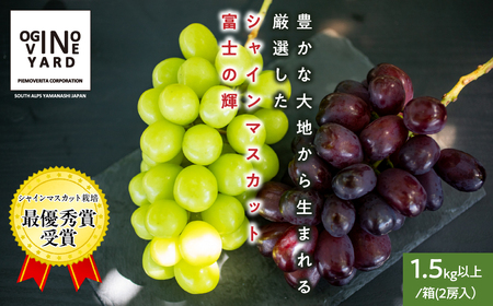2026年秋収穫先行予約 山梨県産 富士の輝＆シャインマスカット 1.5kg以上／箱 2房入 ALPAK013