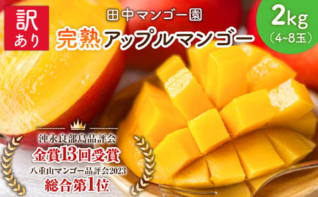 【 2026年 先行予約 】 訳あり 田中マンゴー園 完熟 アップル マンゴー 約 2kg（ 4～8玉 ）（ ご家庭用 ） W001-008u わけあり 果物