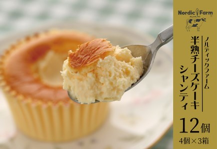 濃厚トロリとろける　半熟チーズケーキ・シャンティ〔4個入り×3箱〕 ( ふるさと納税 チーズケーキ スイーツ デザート 北海道産 濃厚クリーム ふわとろ食感 北海道 遠軽町 ノルディックファーム ) en01-00084