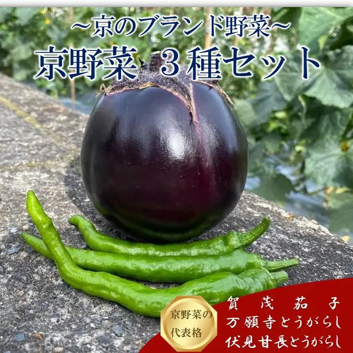 【先行予約・2026年7月発送】夏の京野菜「3種セット」賀茂茄子・万願寺とうがらし・伏見とうがらし｜やさい　やさい