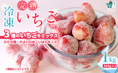 冷凍いちご 1kg  いちご農家さんからの直送品（500g×２袋）