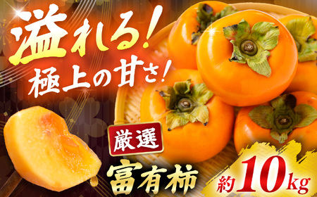 富有柿 10kg 箱 サイズおまかせ（ 36個 ～ 42個 ） | 果物 柿 大容量 熊代農園