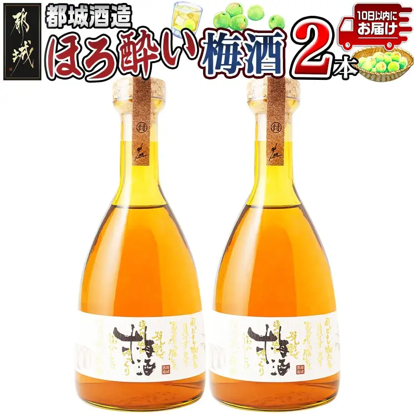 都城酒造 ほろ酔い梅酒2本≪みやこんじょ特急便≫_AO-6701_(都城市) プレミアム梅酒 14度 500ml 2本 都城酒造 梅酒