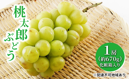 ぶどう 2026年 先行予約 桃太郎 ぶどう 1房（1房約670g）