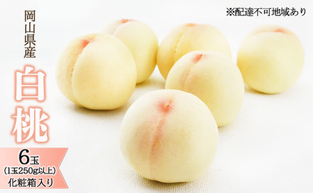 桃 2026年 先行予約 白桃 6玉（1玉250g以上）化粧箱