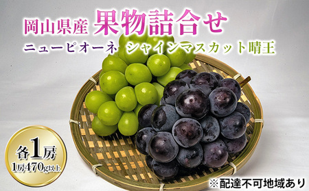 ぶどう 2026年 先行予約 詰め合わせ ニュー ピオーネ 1房 (1房470g以上)  シャインマスカット 晴王 1房 (1房470g以上) 化粧箱