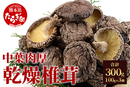 槻木産 中葉厚肉 乾燥椎茸 計300g (100g×3袋) 026-0573