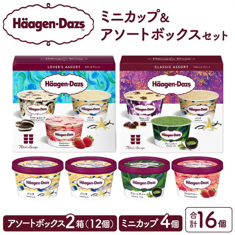 ハーゲンダッツ アイスクリーム バラエティセット アイス_H0026-102