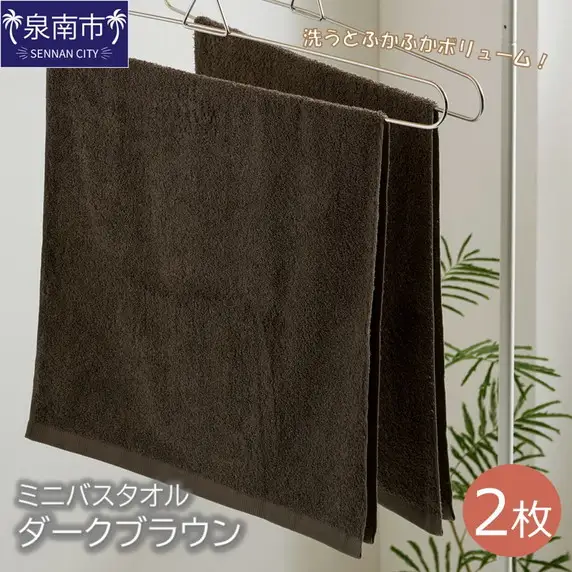 ハンガーで干せるミニバスタオル ダークブラウン2枚 タオル バスタオル ミニバスタオル デイリータオル 泉州バスタオル バスタオルセット 【039E-053】