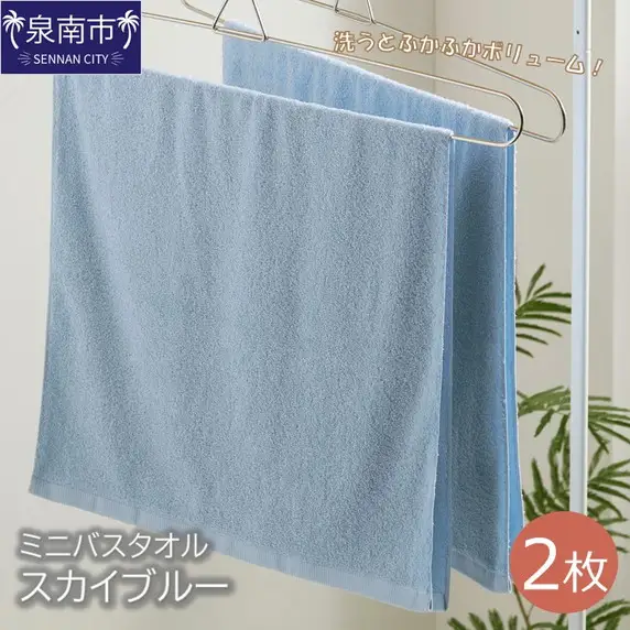 ハンガーで干せるミニバスタオル スカイブルー2枚 【039E-047】