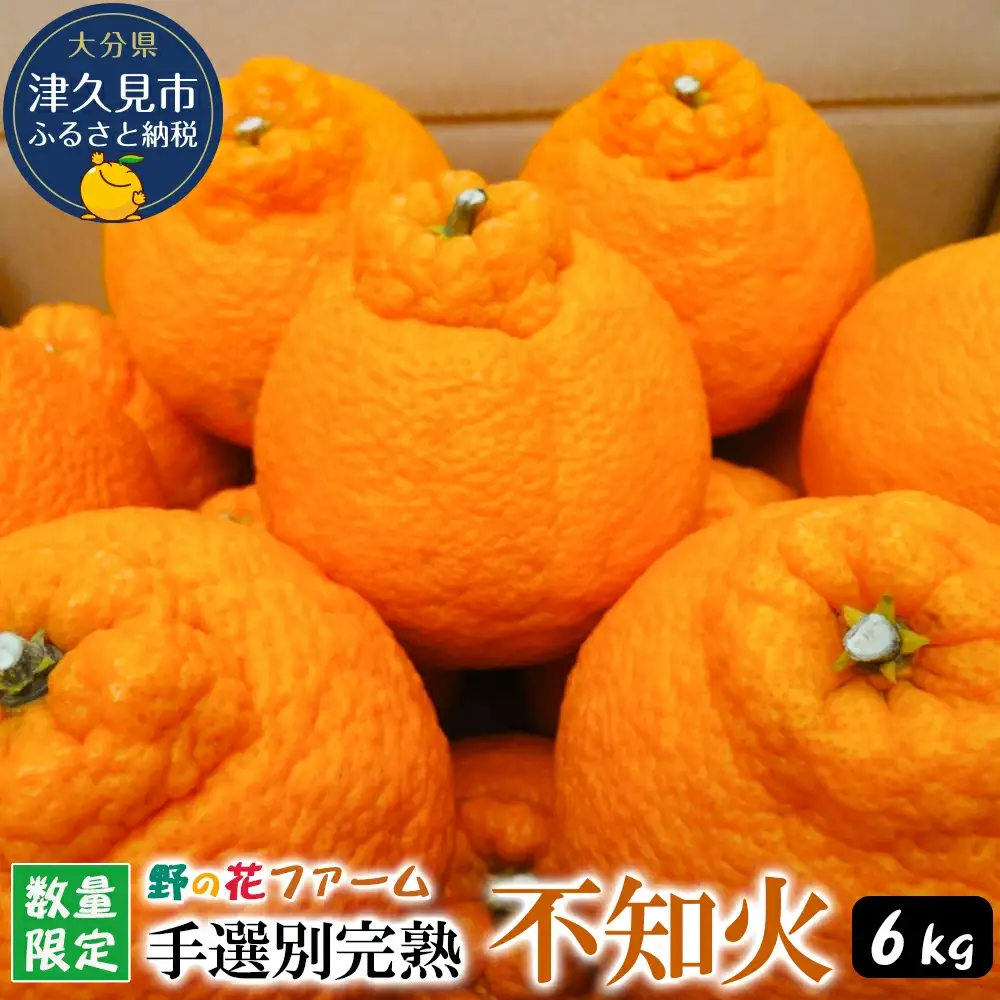 【先行予約・数量限定】野の花ファーム 不知火 6kg 手選別完熟 | みかん ミカン オレンジ 果物 大分県 九州 津久見市 国産