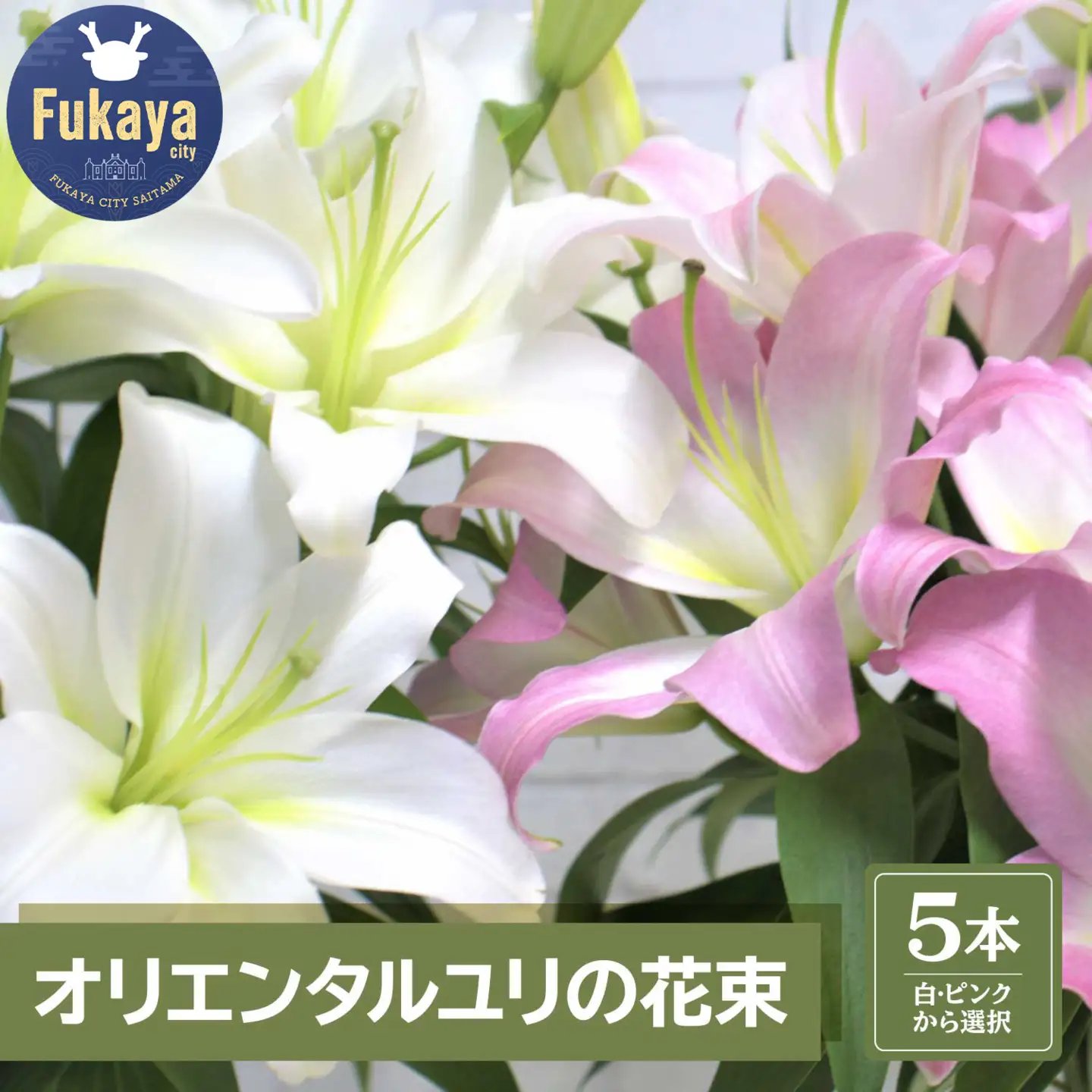 【産直】オリエンタルユリの花束【白5本】　【11218-0532】