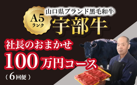 【宇部牛】社長おまかせプレミアム定期便【６回便】＜１００万円コース＞黒毛和牛Ａ５ランク 和牛