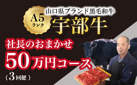 【山口宇部牛】社長おまかせプレミアム定期便【３回便】＜５０万円コース＞黒毛和牛Ａ５ランク 和牛