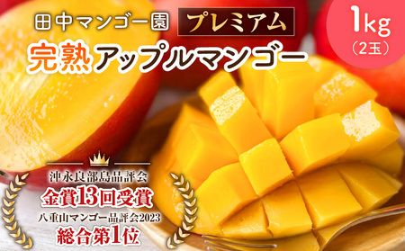 【 2026年 先行予約 】田中マンゴー園の プレミアム 完熟 アップルマンゴー 1kg （ 2玉 ）  W001-011u 果物 マンゴー