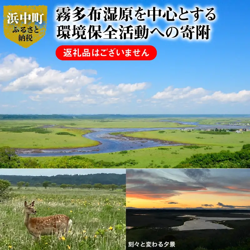 霧多布湿原を中心とする環境保全活動への寄附　霧多布湿原を中心とする環境保全活動への寄附 3,000円 寄附 支援 寄付のみ 返礼品無し 寄付金 霧多布湿原 国定公園 花の湿原 景観保全 動植物の保全 湿原を再生 環境 保全 活動 調査研究事業 地元 町内 NPO法人 ナショナルトラスト 北海道 浜中町_270001