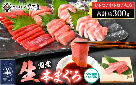 まぐろの王様！生本マグロ！まぐろ三昧おためしセット合計300g前後（赤身・中トロ・大トロ各約100g） [e04-a083] 